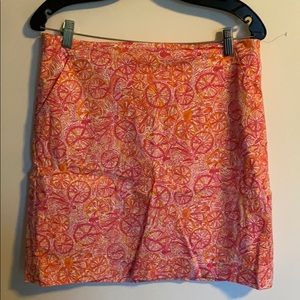 EUC hard to find 10 speed skirt